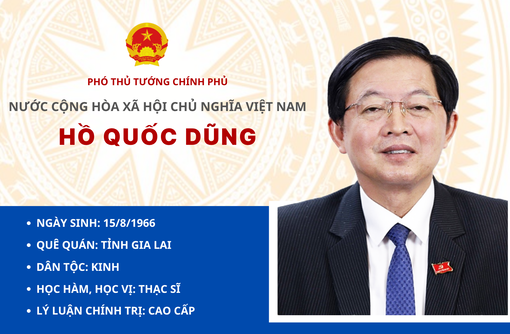 [Infographic] - Tân Phó Thủ tướng Chính phủ Hồ Quốc Dũng