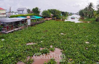 Tăng thu nhập từ nghề tay trái