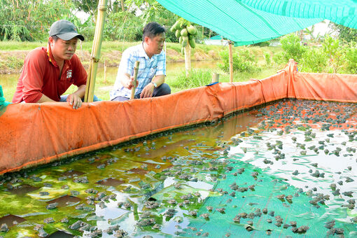 Đồng hành cùng nông dân