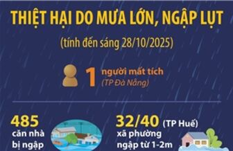 Thiệt hại do mưa lớn, ngập lụt (tính đến sáng 28/10/2025) Thiệt hại do mưa lớn, ngập lụt (tính đến sáng 28/10/2025)