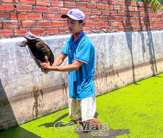 Làm giàu từ nông nghiệp hiện đại