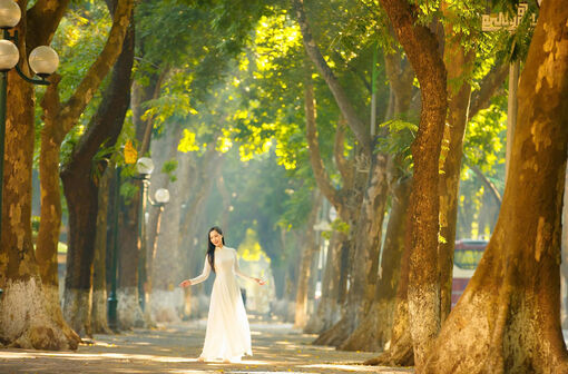 Có những sớm mai