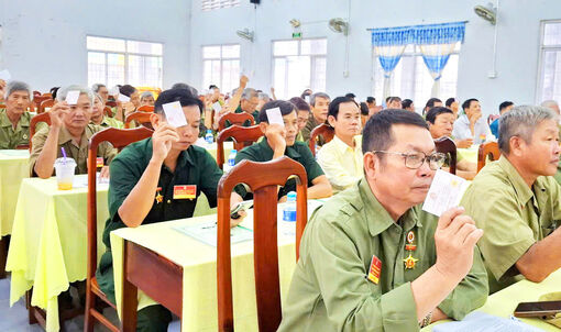 Bình Mỹ phấn đấu 100% hội viên cựu chiến binh không còn nhà tạm bợ, dột nát