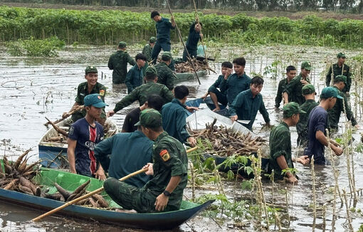 Đồn Biên phòng Vĩnh Điều giúp dân thu hoạch hoa màu chạy lũ