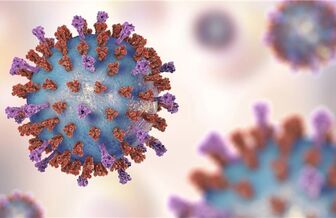 Virus RSV đe dọa sức khỏe hô hấp, cần ‘vòng lặp bảo vệ’ gia đình Virus RSV đe dọa sức khỏe hô hấp, cần ‘vòng lặp bảo vệ’ gia đình