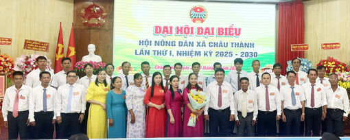 Hội Nông dân xã Châu Thành giúp 13 hội viên nông dân thoát nghèo