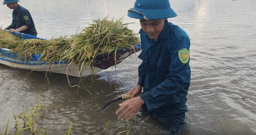Nông dân thấp thỏm vì mưa lũ bất thường