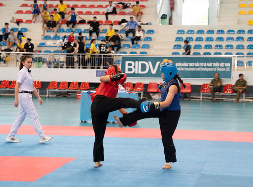 Võ cổ truyền phát triển mạnh mẽ Võ cổ truyền phát triển mạnh mẽ