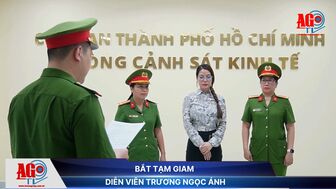 Bắt tạm giam diễn viên Trương Ngọc Ánh