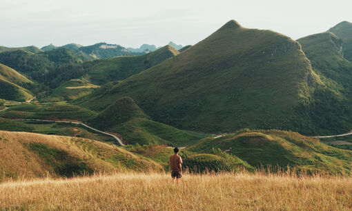 Mùa cỏ cháy phủ vàng đồi Ba Quáng giữa núi rừng Cao Bằng Mùa cỏ cháy phủ vàng đồi Ba Quáng giữa núi rừng Cao Bằng