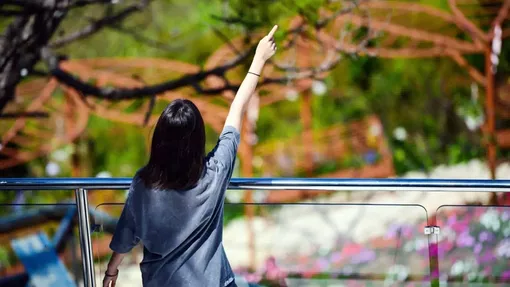 Khi phụ nữ nói 'không' với hôn nhân: Tự do hay cô đơn?