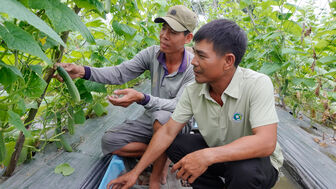 Giồng Riềng khởi sắc từ phong trào nông dân