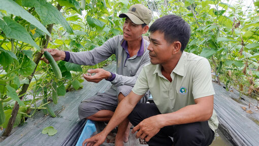 Giồng Riềng khởi sắc từ phong trào nông dân