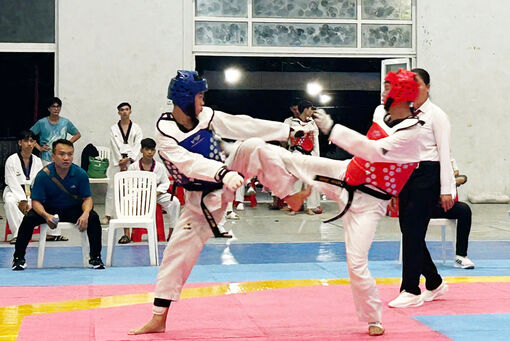 Ấn tượng Giải Cup các câu lạc bộ Taekwondo