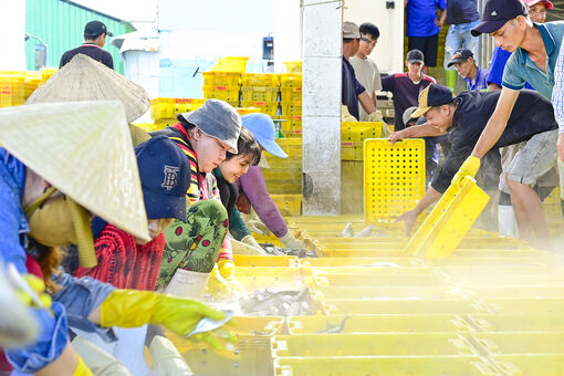 Bên trong cảng cá Tắc Cậu