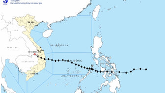 Tin cuối cùng về bão số 13