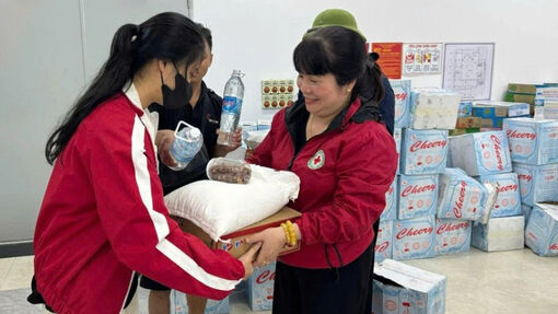 Hội Chữ thập đỏ Việt Nam cứu trợ khẩn cấp người dân 6 tỉnh bị thiệt hại do mưa lũ