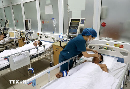 Thành phố Hồ Chí Minh: Xác minh việc 40 người ngộ độc sau khi ăn bánh mỳ vỉa hè