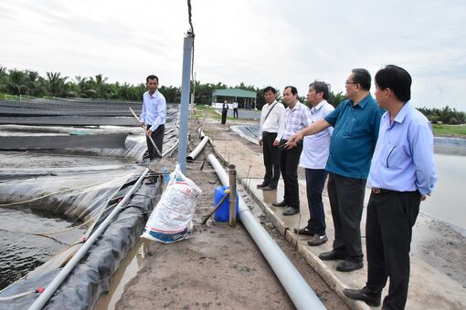 Trao đổi về liên kết sản xuất, tiêu thụ sản phẩm cá rô phi