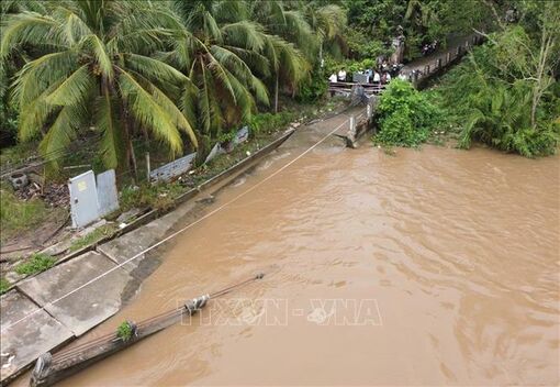 Vĩnh Long: Khẩn trương khắc phục sạt lở bờ sông Giao Hòa