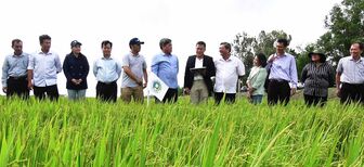 Ứng dụng công nghệ tưới ướt - khô xen kẽ vào sản xuất