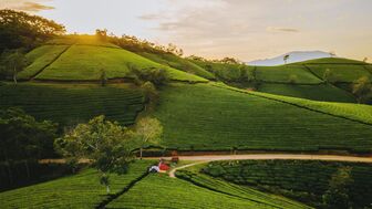 Đẩy mạnh phát triển du lịch xanh tại xã miền núi Long Cốc