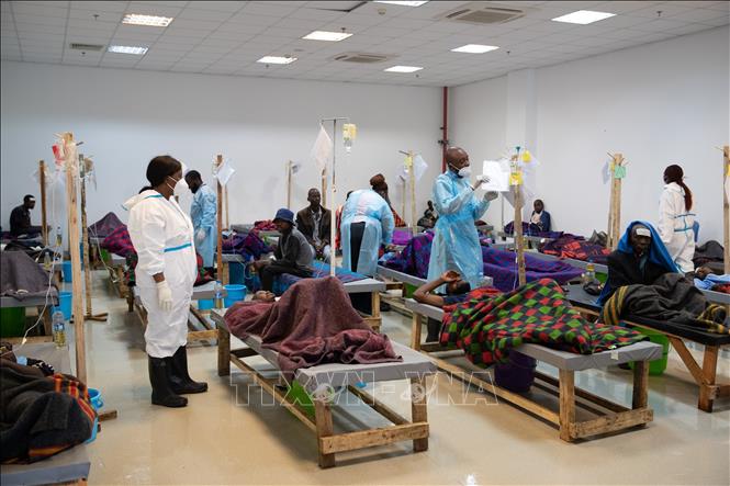 Châu Phi trải qua đợt dịch tả tồi tệ nhất trong 25 năm