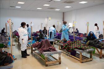 Châu Phi trải qua đợt dịch tả tồi tệ nhất trong 25 năm