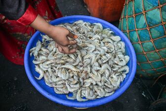 Hàng loạt lô tôm đông lạnh, giày thể thao từ Indonesia bị phát hiện nhiễm phóng xạ