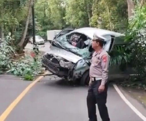 Indonesia: Xe chở du khách gặp nạn tại Bali, ít nhất 5 người thiệt mạng