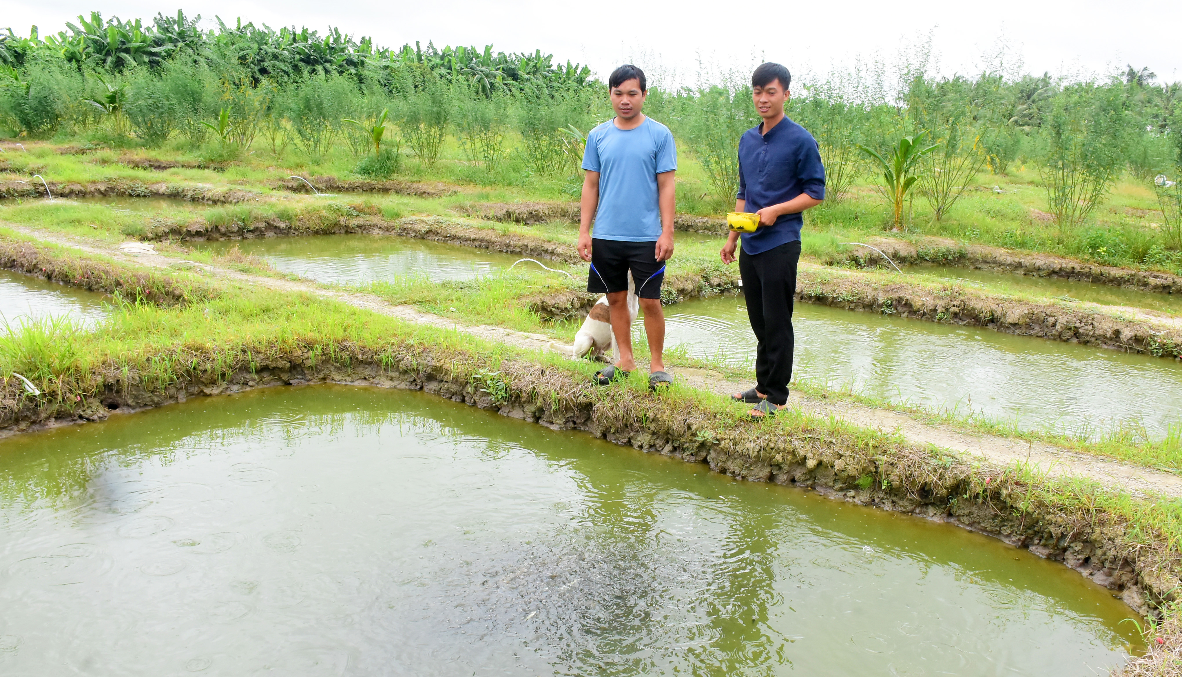 Nông dân An Giang đa dạng hóa sản xuất