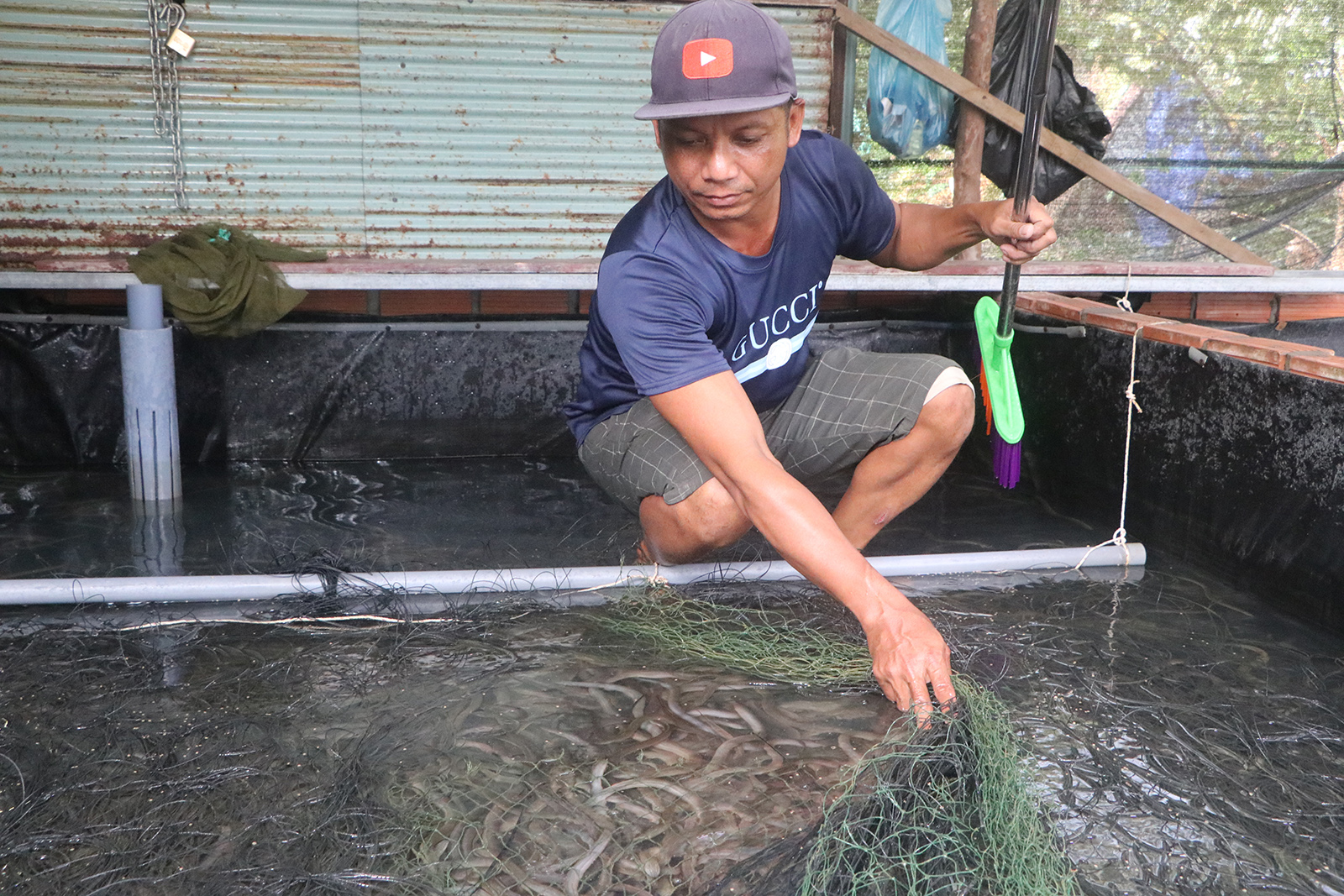 Nông dân xã Định Hòa phất lên nhờ chăn nuôi