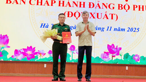 Ban Thường vụ Tỉnh ủy chỉ định nhân sự tham gia Ban Chấp hành Đảng bộ phường Hà Tiên