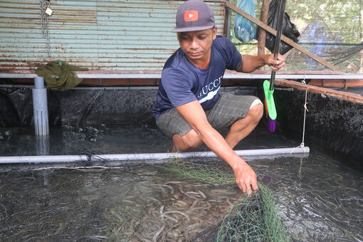 Nông dân xã Định Hòa phất lên nhờ chăn nuôi