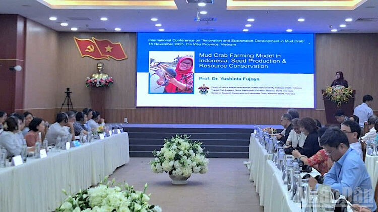 Cà Mau thúc đẩy ngành hàng cua biển vươn ra thị trường quốc tế