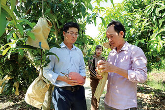 Tư duy làm kinh tế nông nghiệp