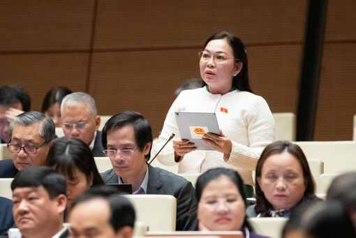 Đại biểu Quốc hội An Giang đóng góp dự án luật giáo dục nghề nghiệp