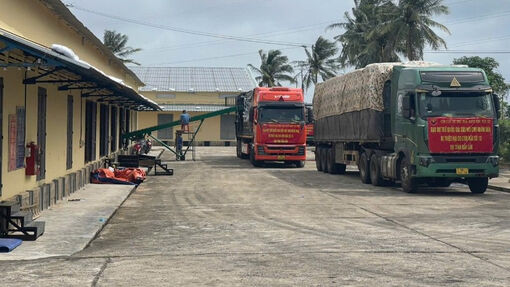 Chính phủ hỗ trợ 700 tỷ đồng, xuất cấp 4.000 tấn gạo và vật tư cứu hộ cho 4 tỉnh bị mưa lũ