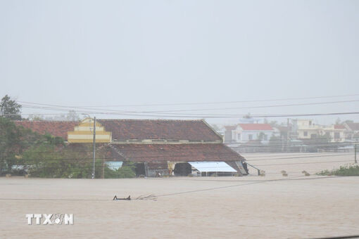 Cộng đồng quốc tế hỗ trợ Việt Nam khắc phục hậu quả thiên tai