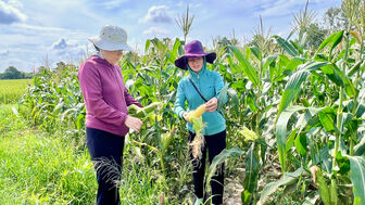 Ứng dụng khoa học, công nghệ vào phát triển kinh tế - xã hội bền vững