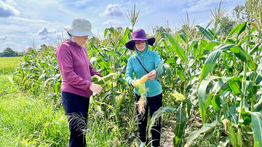 Ứng dụng khoa học, công nghệ vào phát triển kinh tế - xã hội bền vững