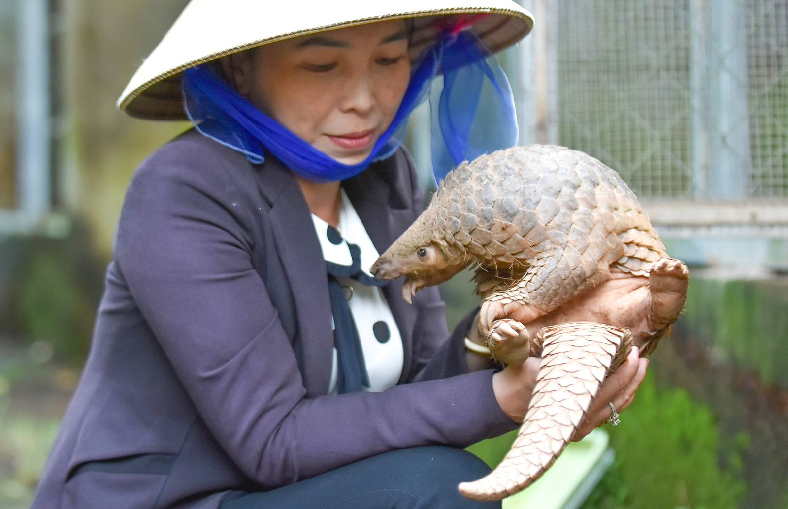 Cứu hộ động vật quý hiếm ở Vườn quốc gia U Minh Thượng