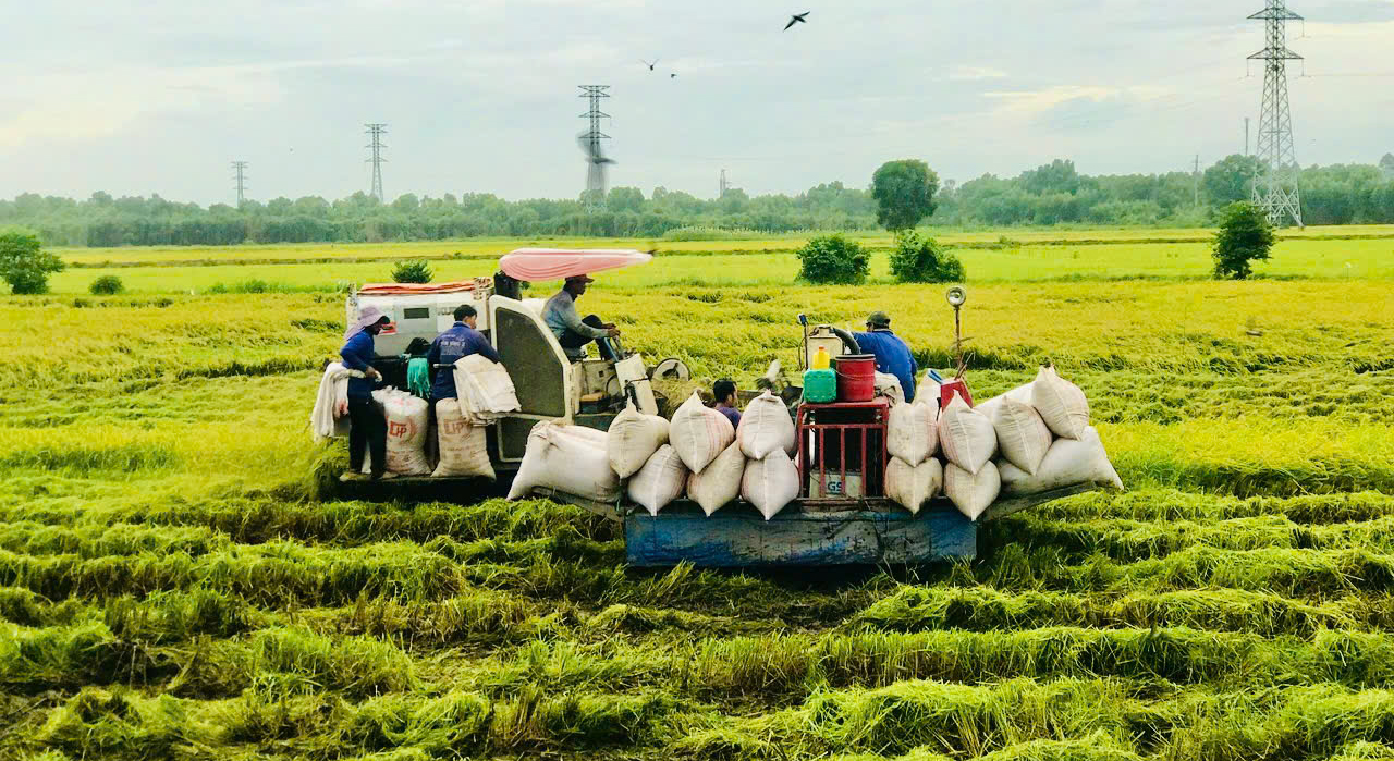 Đổi mới sáng tạo trong toàn xã hội