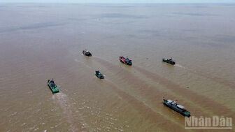 Cần Thơ khai mạc Diễn tập khu vực phòng thủ năm 2025