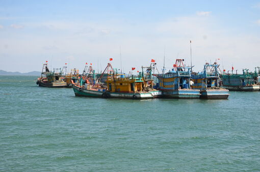 An Giang khẩn trương thực hiện các nhiệm vụ cấp bách chống khai thác IUU