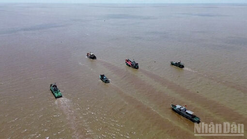 Cần Thơ khai mạc Diễn tập khu vực phòng thủ năm 2025