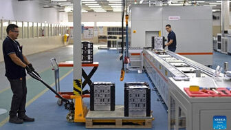 Brazil ghi nhận tuổi thọ cao kỷ lục