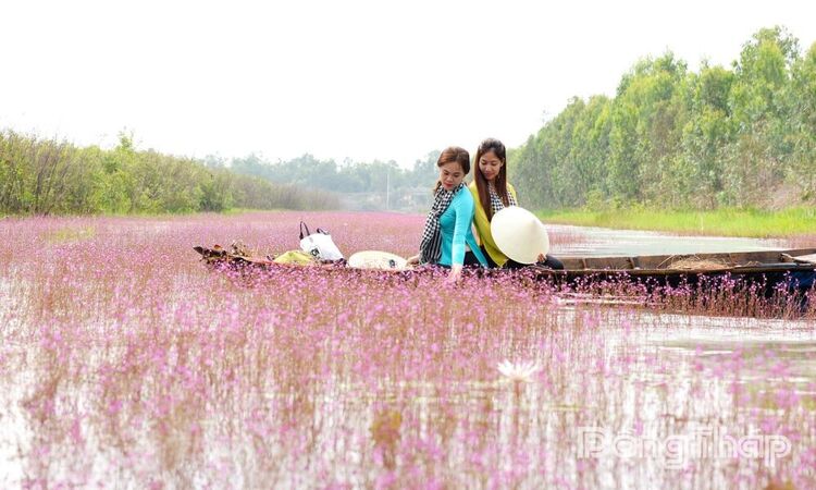 Thiên Nhiên: “Ông thầy” mát lòng của bà con miền sông nước