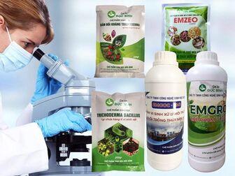 Chế phẩm vi sinh Đức Bình - Giải pháp sinh học toàn diện cho nông nghiệp và môi trường Việt