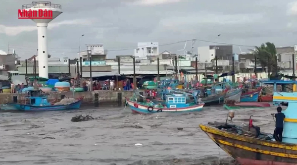 [Video] Lũ lớn trên sông Liên Hương, hàng chục phương tiện của ngư dân bị chìm và trôi ra biển